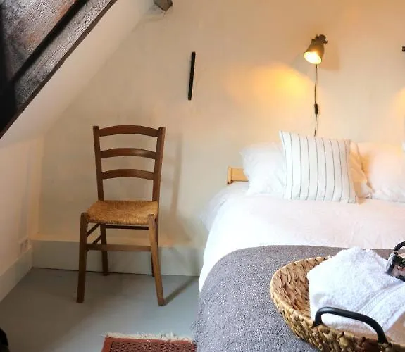 Huisje Vogelenzang Zeeland