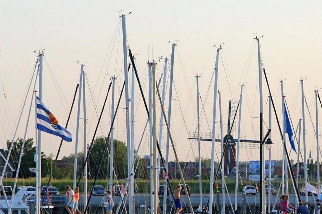 Vogelenzang Zeeland *