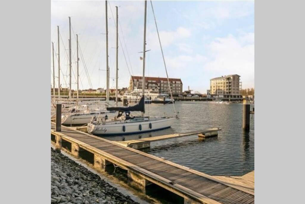 Vogelenzang Zeeland * Sint-Annaland