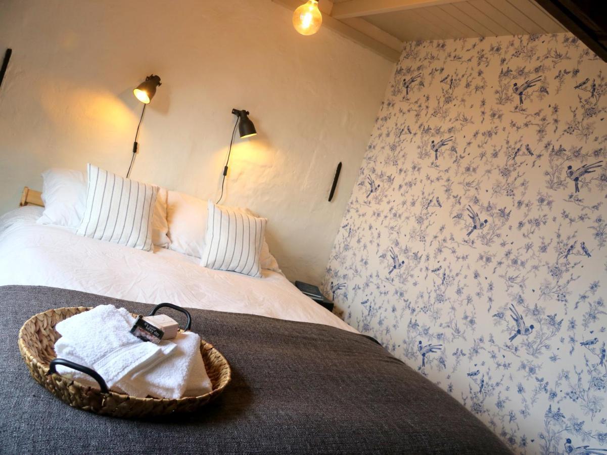 Vogelenzang Zeeland Hébergement de vacances