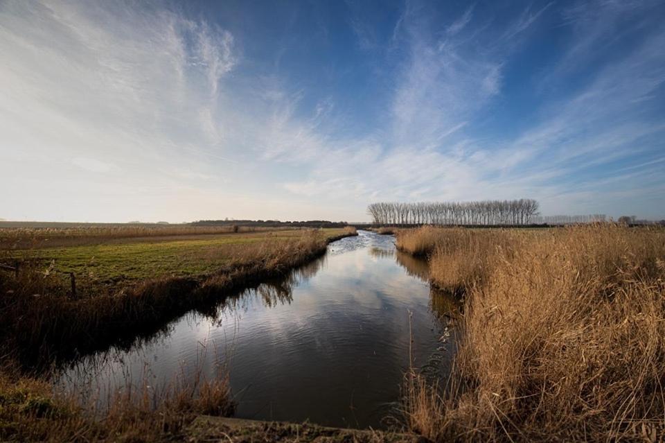 Vogelenzang Zeeland * Sint-Annaland